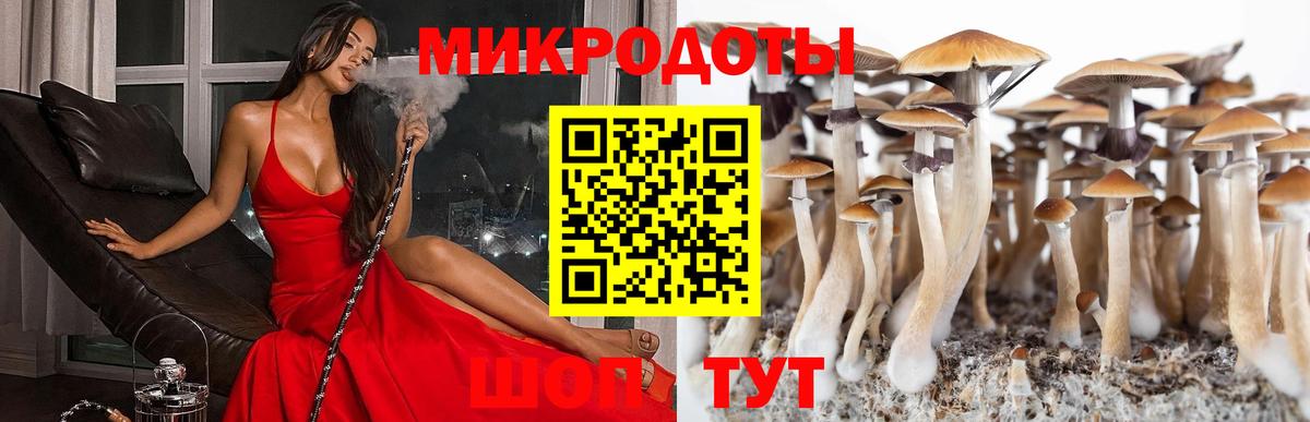 Пыть-Ях  Галлюциногенные грибы мухоморы  Вход с VPN 